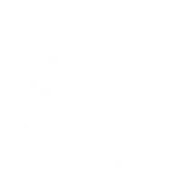 <strong>Natural, Modern Aesthetic</strong>